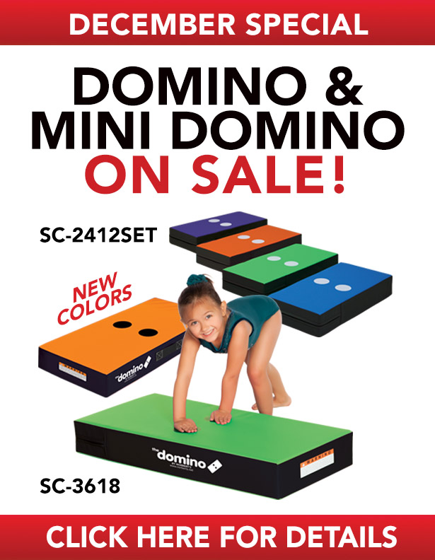 12-2023-domino.jpg