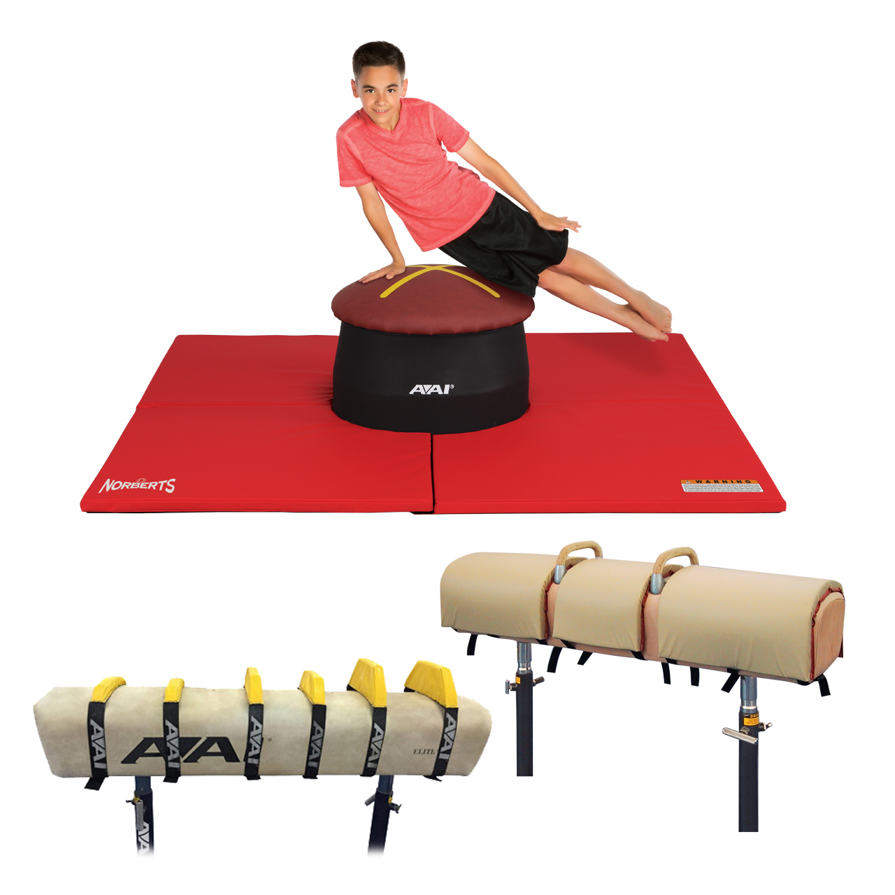 pommel-category2.jpg